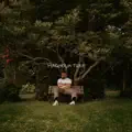 Magnolia Tree