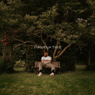 Magnolia Tree - Single