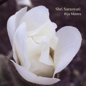 Shri Saraswati Bija Mantra artwork