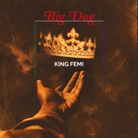 Big Dog - Single - King Femi