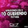 Apaixonou Eu X Tô Querendo Put4Ria (feat. Mc Larissa) - Single