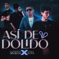 Así De Dolido - Single - Los Bohemios de Sinaloa & Luciano Luna