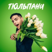 Тюльпани artwork