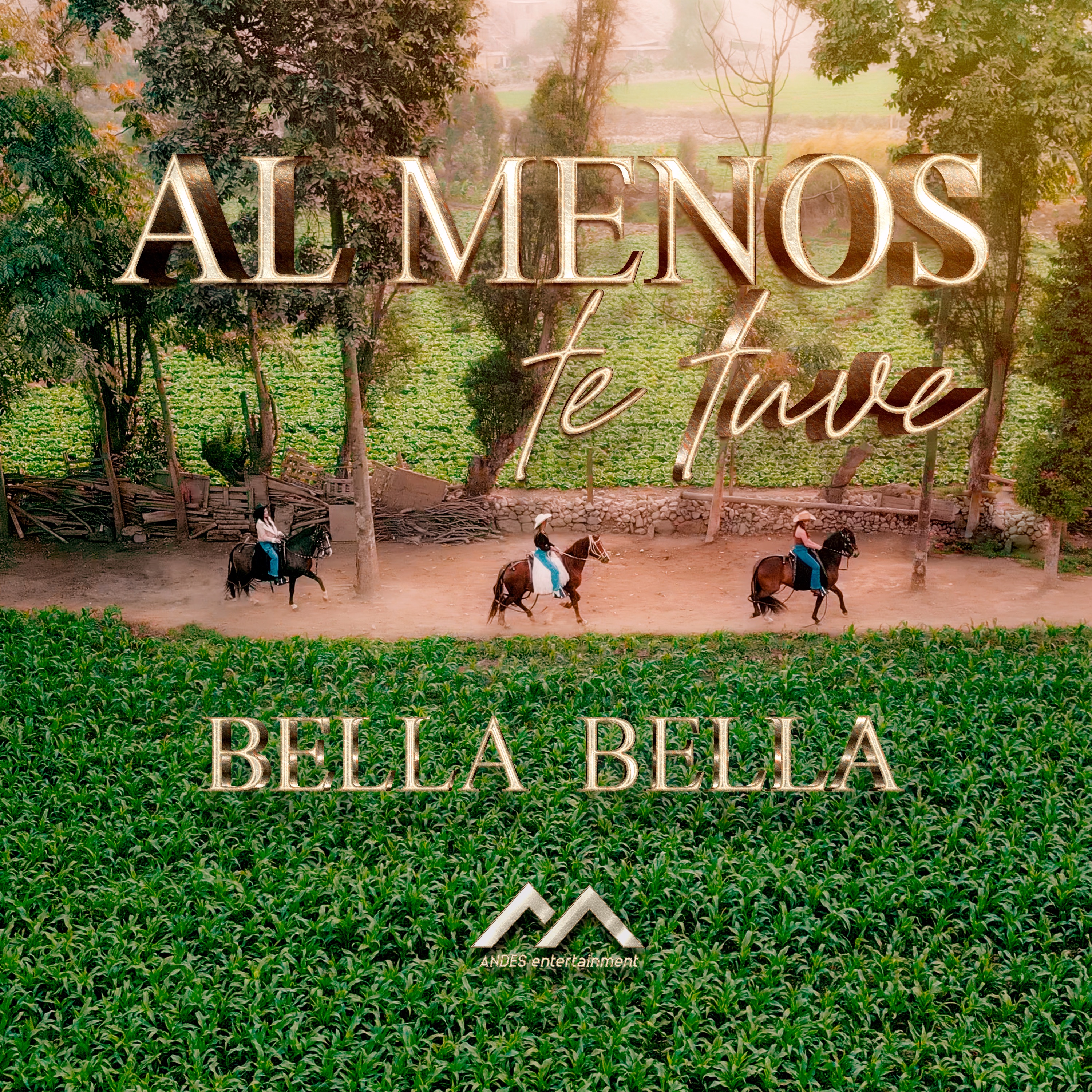 Al Menos Te Tuve - Single