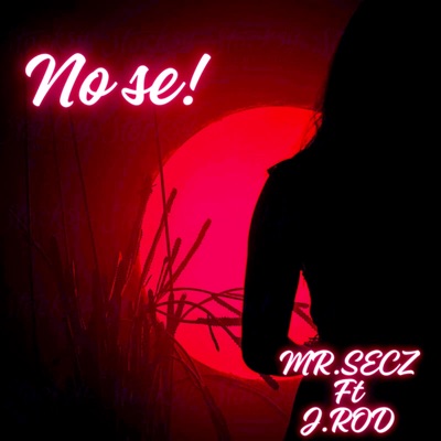 No Se - Single