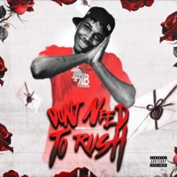 Dont Need To Rush - Single - Realbleeda