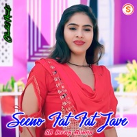 Seeno Fat Fat Jave - EP - Chanchal Mewati & SB Irfan Alwar