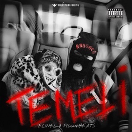 TEMELI (INTRO) Elinel & PLLUMB BEATZ