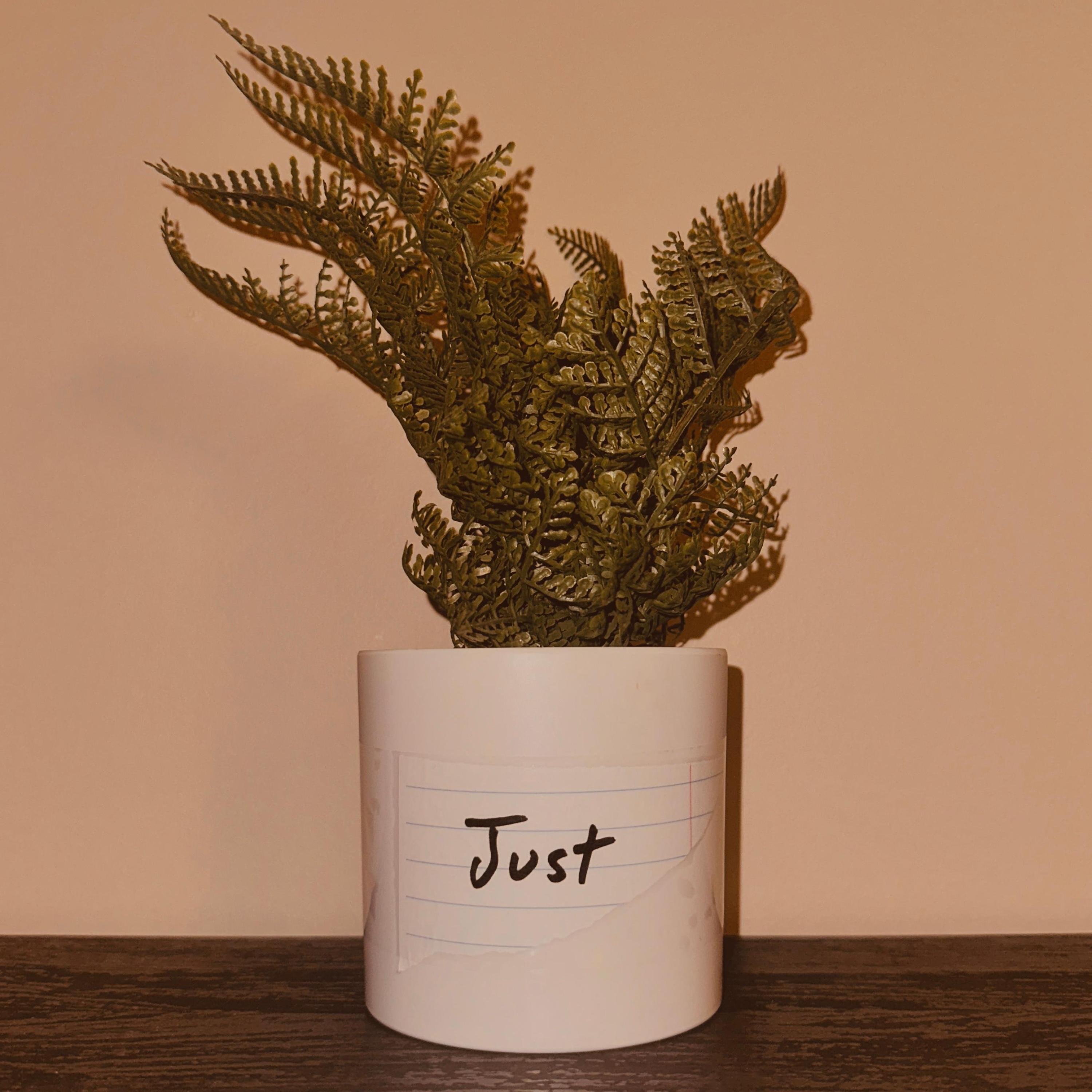 Just - Single
