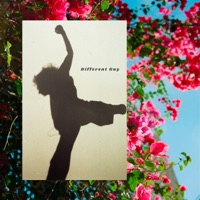 Different Guy - Single - The Hails