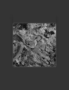 Listen to okdontcare, watch music videos, read bio, see tour dates & more!