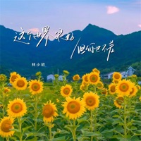 这个世界很好但你也不差 - Single - 林小初