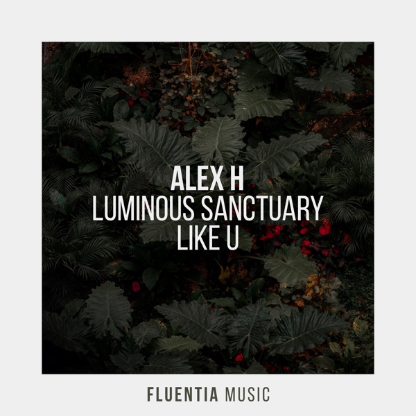 Luminous Sanctuary / Like U - EP