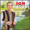 Dorul Basarabiei - Ion Paladi new Single
