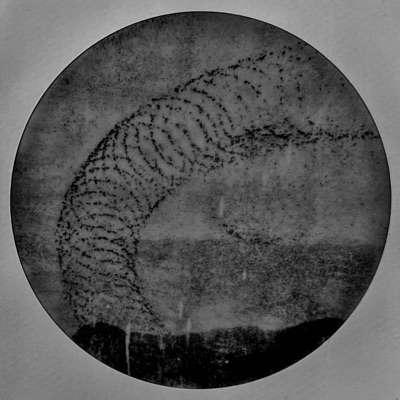 whats wrong/ a futile offering - Single