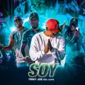 Soy