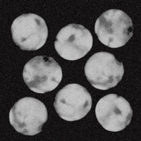 Caleidoscópio (feat. Nevs) - Single - cris., Lessa Gustavo & CS LOVERBOY