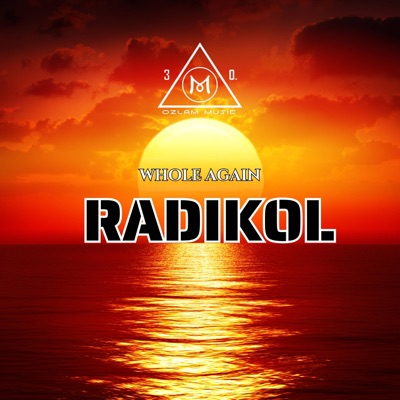 Whole Again - Single