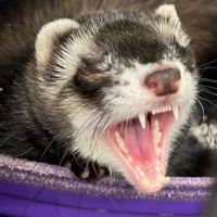 break the bank (feat. Ih3artsoul) - Single - Sxlar