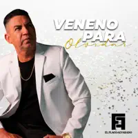 No me vuelvo a enamorar — Flaco Alvarado