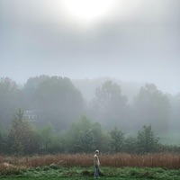 P.O.M / gray skies - Single - C!