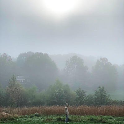 P.O.M / gray skies - Single