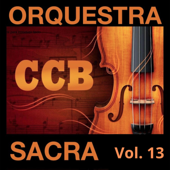 290 – Sempre avante!