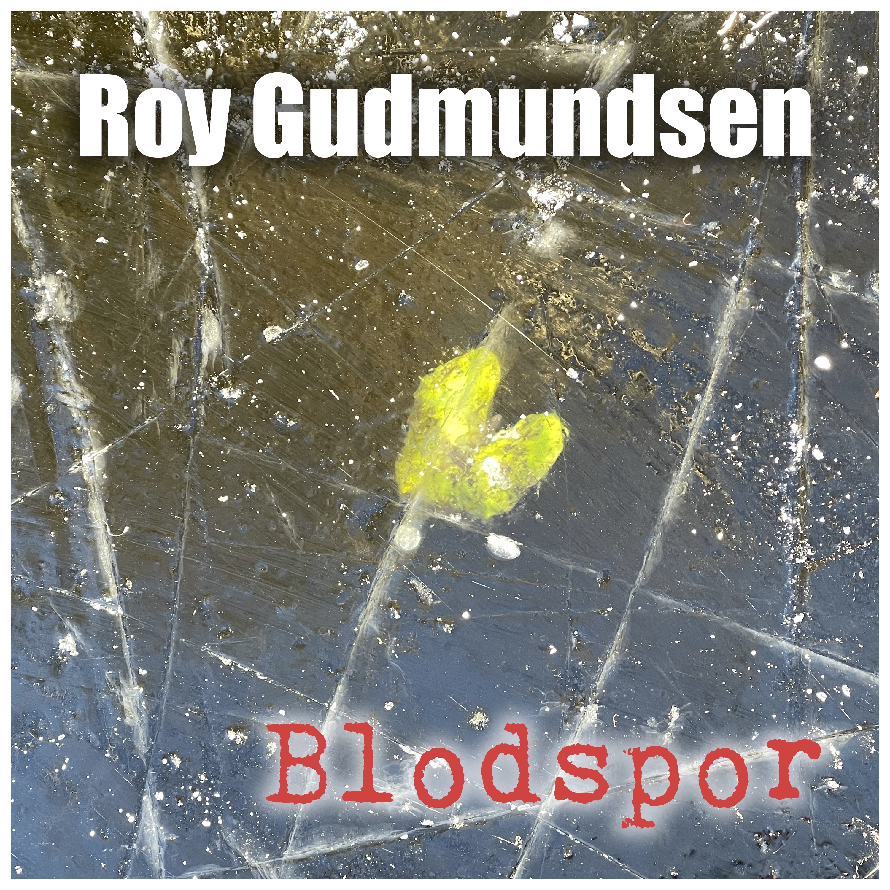 Blodspor