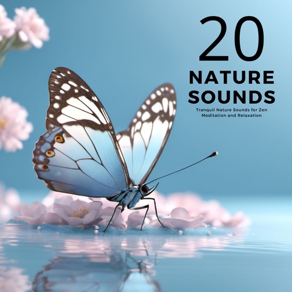 20 Nature Sounds - Tranquil Nature Sounds for Zen Meditation and Relaxation