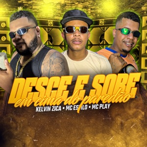 Desce e Sobe em Cima do Paredão (feat. Mc Play)