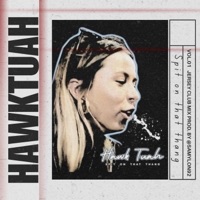 Hawk Tuah (spit on that thing) - Single - Samylon92