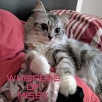 Whispers of Missy (Missy's Lullaby) - Single - Julefjollene