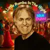 A Little Rumba In The Night