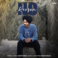 No Reason - Single - Ashish Deol
