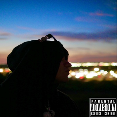 PERDON AMOR - Single