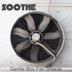 Gentle Box Fan Breeze