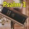 Psalm 1 - Stanislaw Halasa lyrics