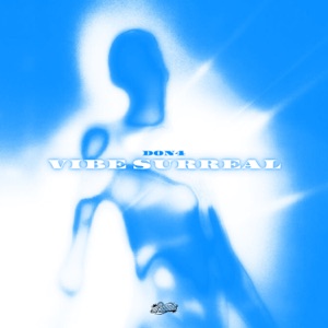 Vibe Surreal (feat. MD RECORDS)