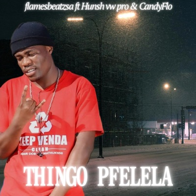 Thingo pfelela (feat. Hunsh Vendq Waves Pro & Candyflo) - Single
