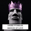 Breeze of Love cover art