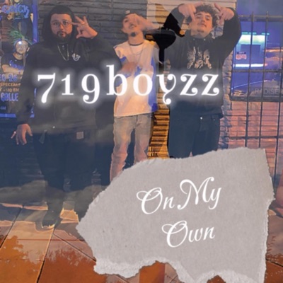 On My Own (feat. BABY G KLAND & 719Dope) - Single
