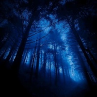 Avengers (feat. 3miiL) - Single - mlodywocky