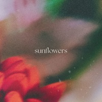 Sunflowers - Single - Mat Hours, Raul Ojamaa & Lilla Shy