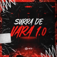 Surra de Vara 1.0 - Single - Mini Dj & mc delux