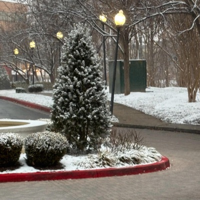 Our Time (feat. DJ Gringo, Vibe, Amina, Dayjih & Josie) - Single