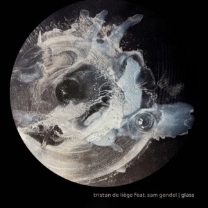 Glass (feat. Sam Gendel)