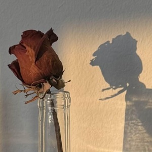Toxic Love (feat. Cheyanne) - Single