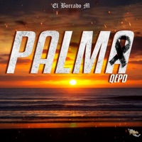 Palma QEPD - Single - El Borrado M