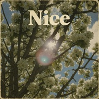 Nice (feat. Steven Lamar Moore) - Single - Danil Bryukhanov
