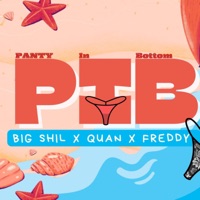 PIB (feat. quan) - Single - DJ Taffy